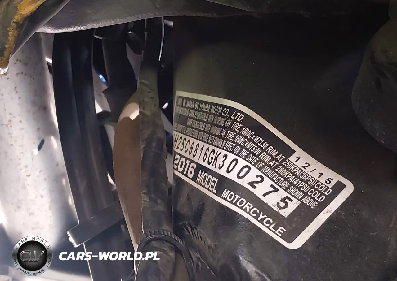 2016 Honda Gl1800 B VIN:JH2SC6816GK300275 - 10