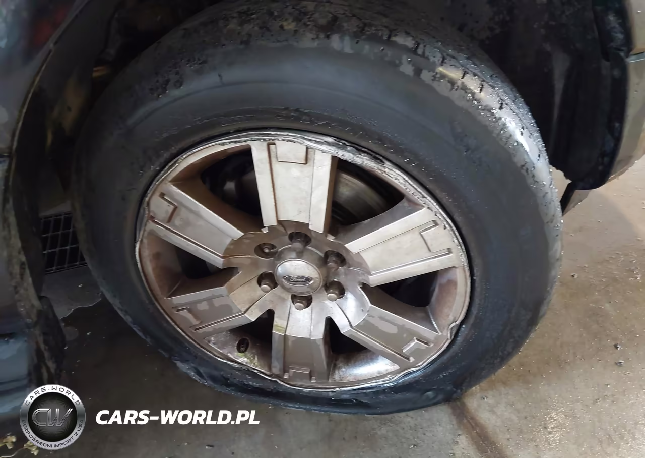 2008 Ford Expedition Limited VIN:1FMFU205X8LA37309 - 6