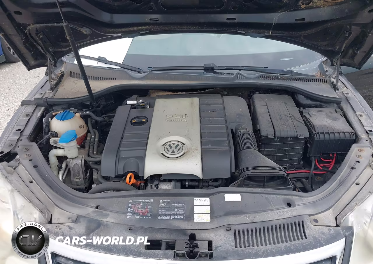 2007 Volkswagen Eos 2.0T VIN:WVWDA71F67V001287 - 10