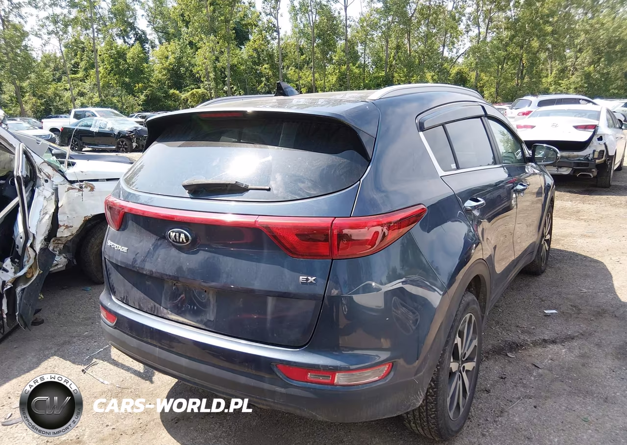 2017 Kia Sportage Ex VIN:KNDPN3AC8H7209631 - 4