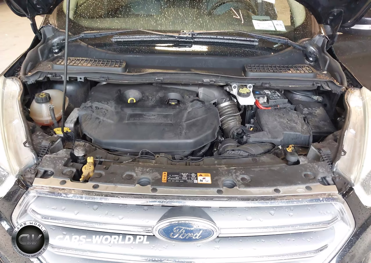 2017 Ford Escape Titanium VIN:1FMCU9J99HUA59065 - 10