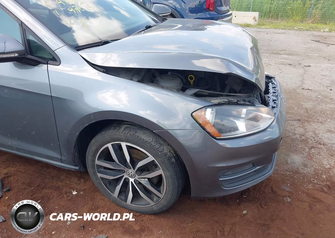 2015 Volkswagen Golf Tsi Se 4-Door VIN:3VW217AU9FM004843 - 17