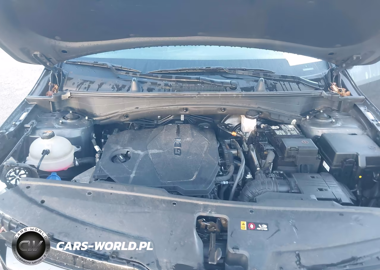 2023 Kia Sportage X-Line VIN:5XYK6CAF7PG133497 - 10