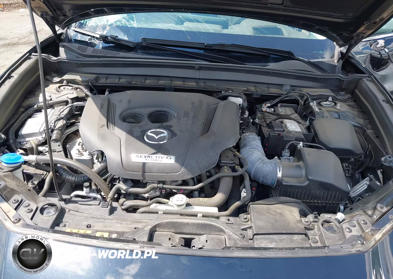 2025 Mazda Cx-30 2.5 Turbo Premium Plus Package VIN:3MVDMBEY0SM789927 - 10