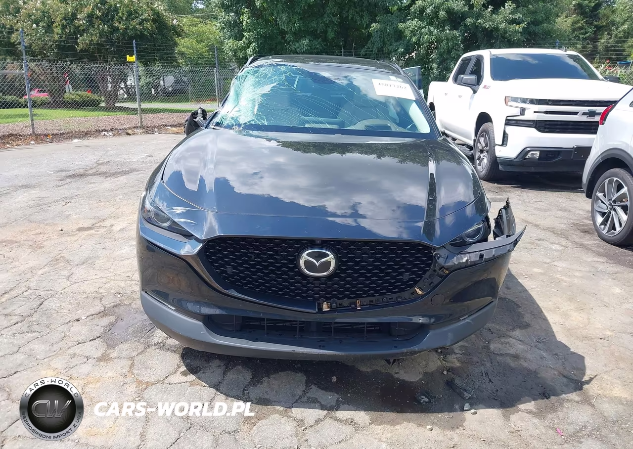 2025 Mazda Cx-30 2.5 Turbo Premium Plus Package VIN:3MVDMBEY0SM789927 - 12