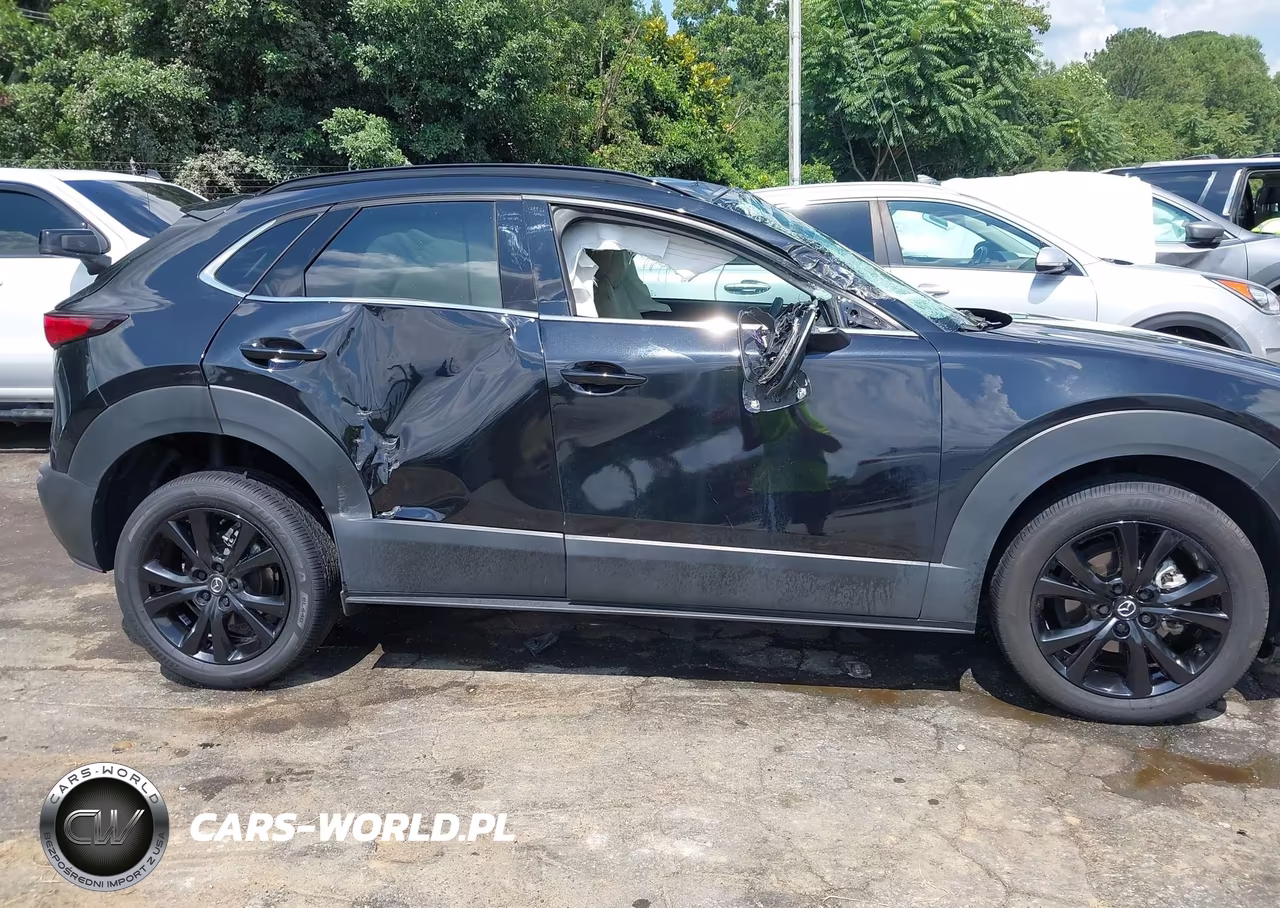 2025 Mazda Cx-30 2.5 Turbo Premium Plus Package VIN:3MVDMBEY0SM789927 - 13