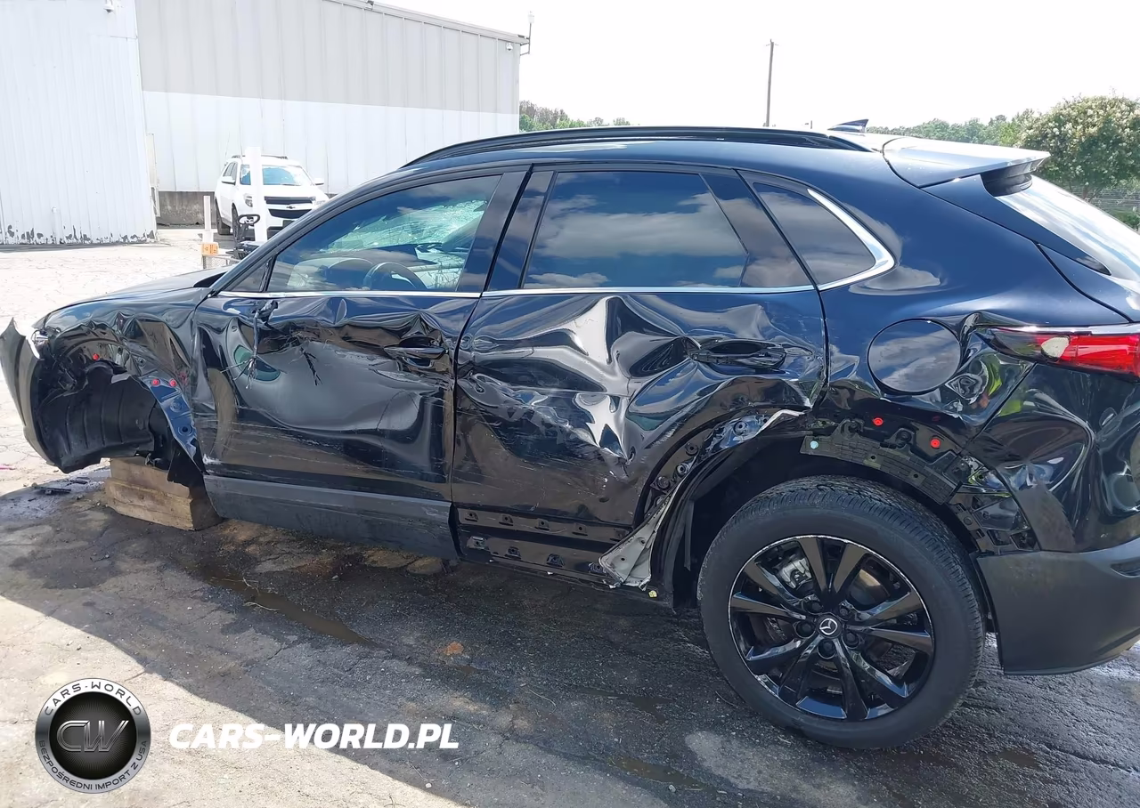 2025 Mazda Cx-30 2.5 Turbo Premium Plus Package VIN:3MVDMBEY0SM789927 - 14
