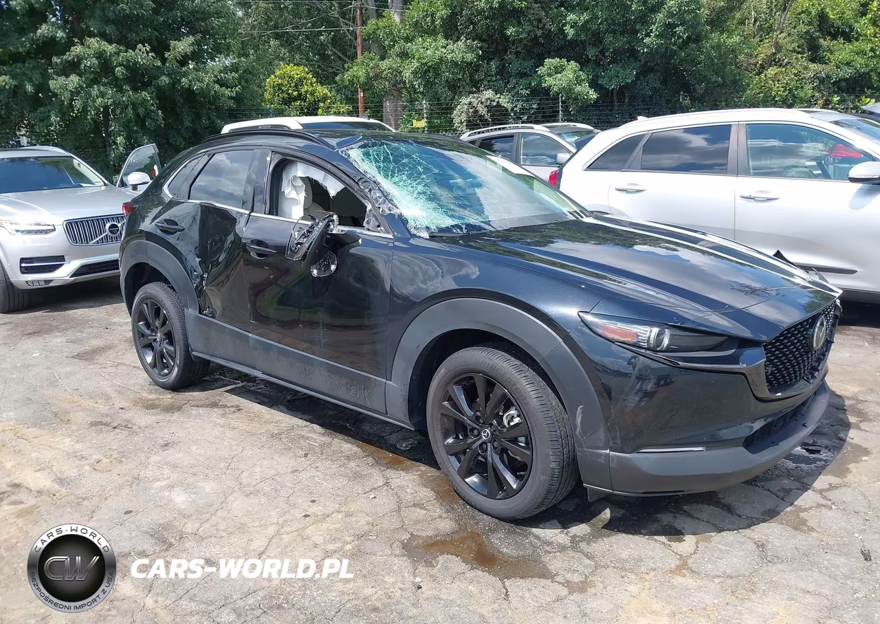 2025 Mazda Cx-30 2.5 Turbo Premium Plus Package VIN:3MVDMBEY0SM789927 - 17