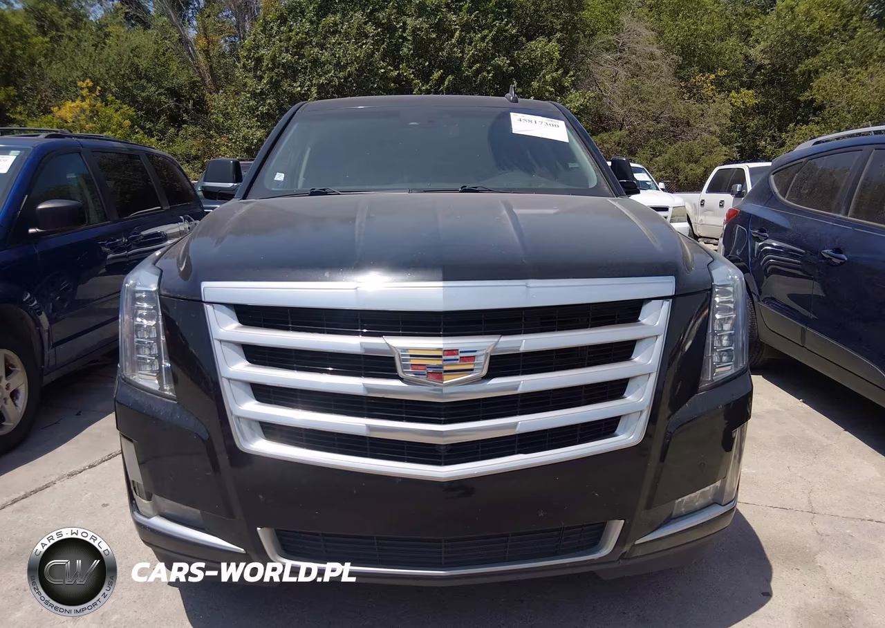 2016 Cadillac Escalade Esv Luxury Collection VIN:1GYS3HKJ6GR375153 - 12