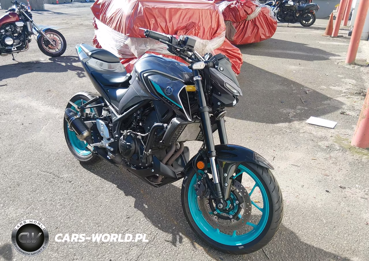 2024 Yamaha Mt-03 VIN:NY-77719 - 2