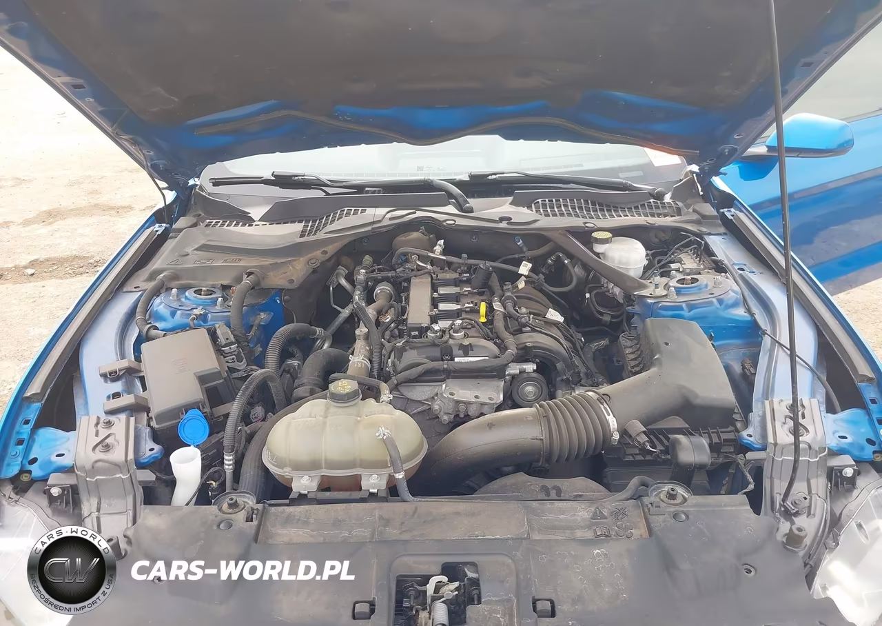 2021 Ford Mustang Ecoboost Premium VIN:1FATP8UH6M5123047 - 10