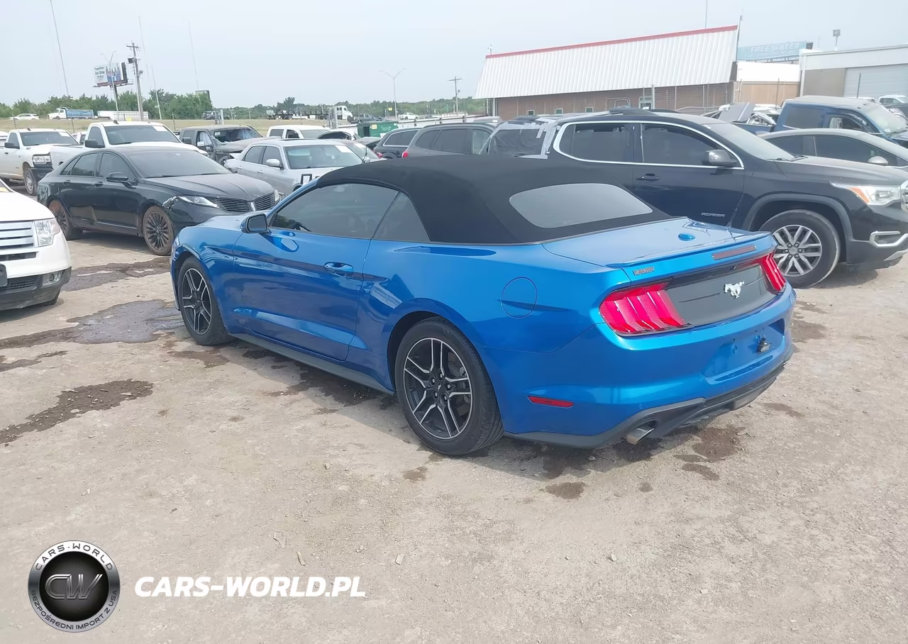 2021 Ford Mustang Ecoboost Premium VIN:1FATP8UH6M5123047 - 3