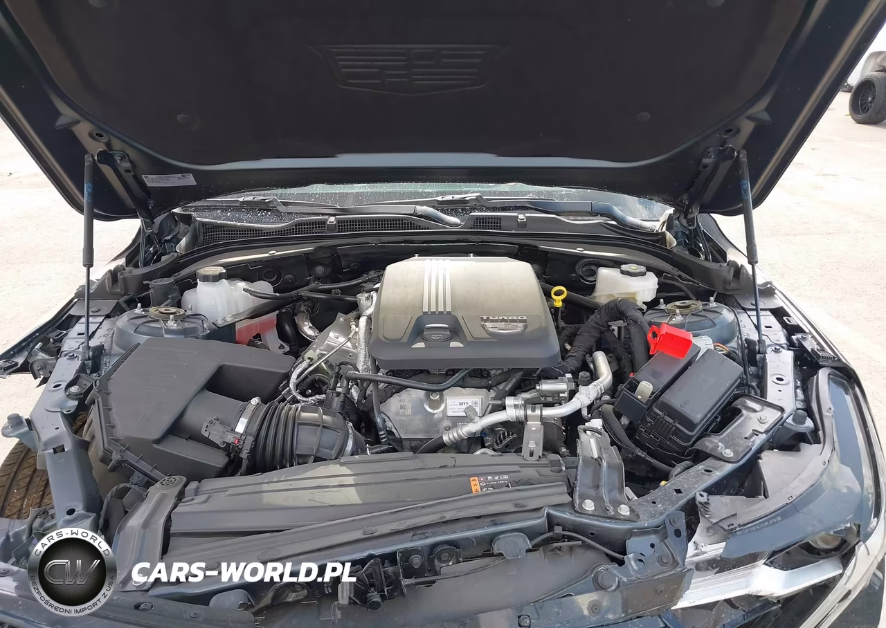 2026 Cadillac Ct4 Premium Luxury Rwd VIN:1G6DB5RK8T0102246 - 10