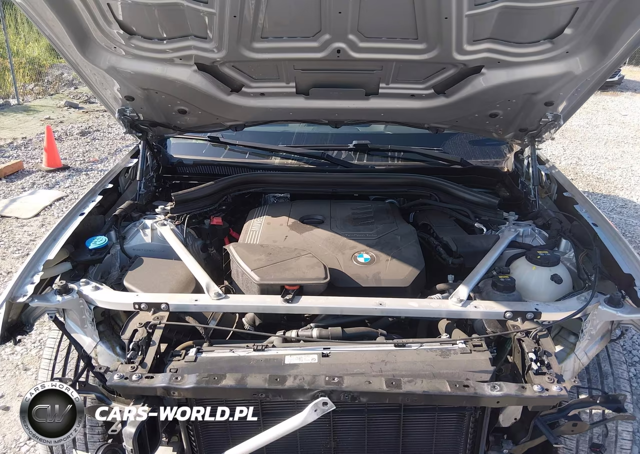 2021 BMW X3 Sdrive30I VIN:5UXTY3C01M9G67228 - 10
