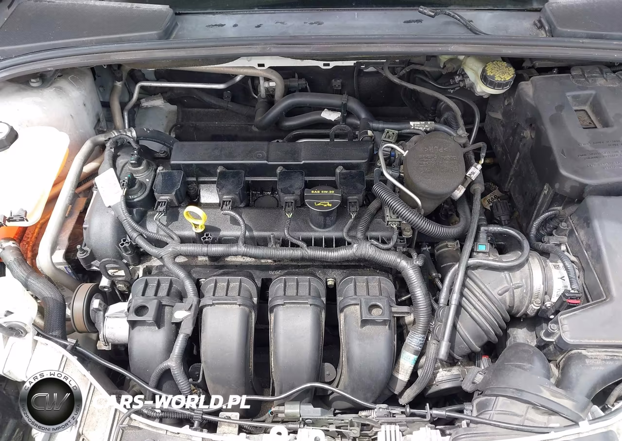 2012 Ford Focus Sel VIN:1FAHP3M21CL287868 - 10