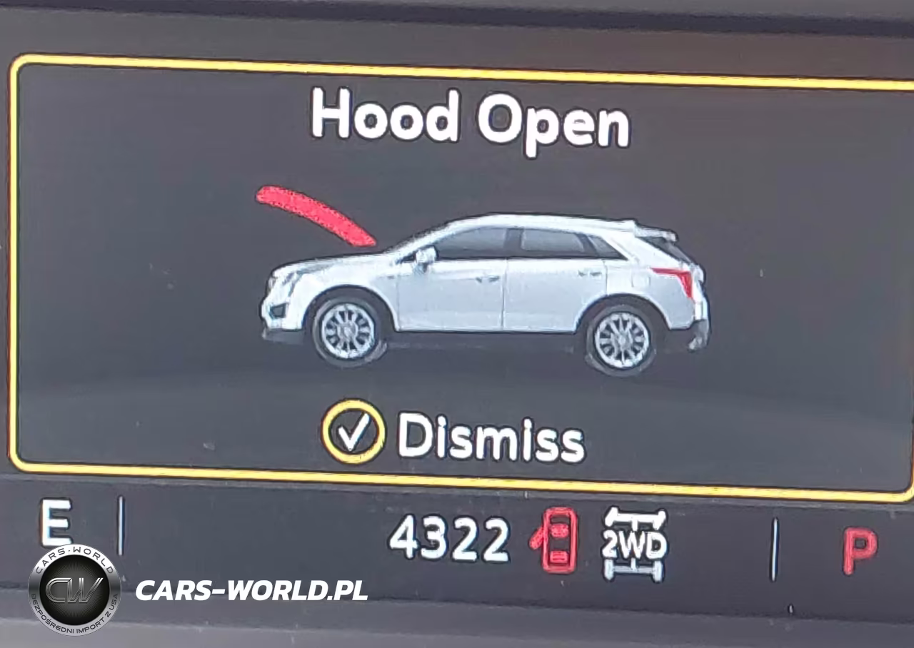 2025 Cadillac Xt5 Awd Premium Luxury VIN:1GYKNDRS7SZ121834 - 7