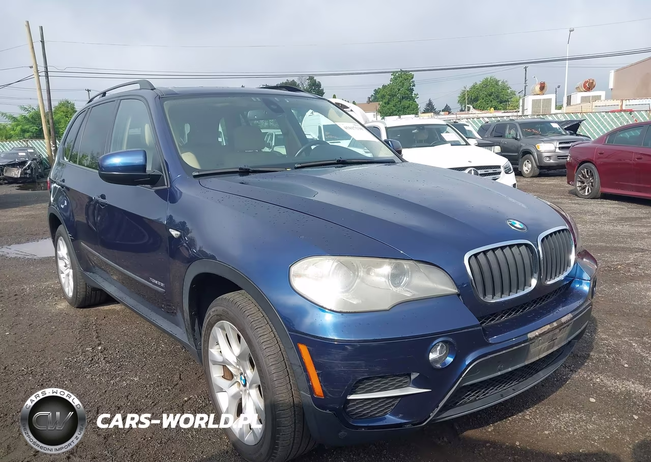 2012 BMW X5 xDrive35I-xDrive35I Premium-xDrive35I Sport Activity VIN:5UXZV4C5XCL745105 - 12