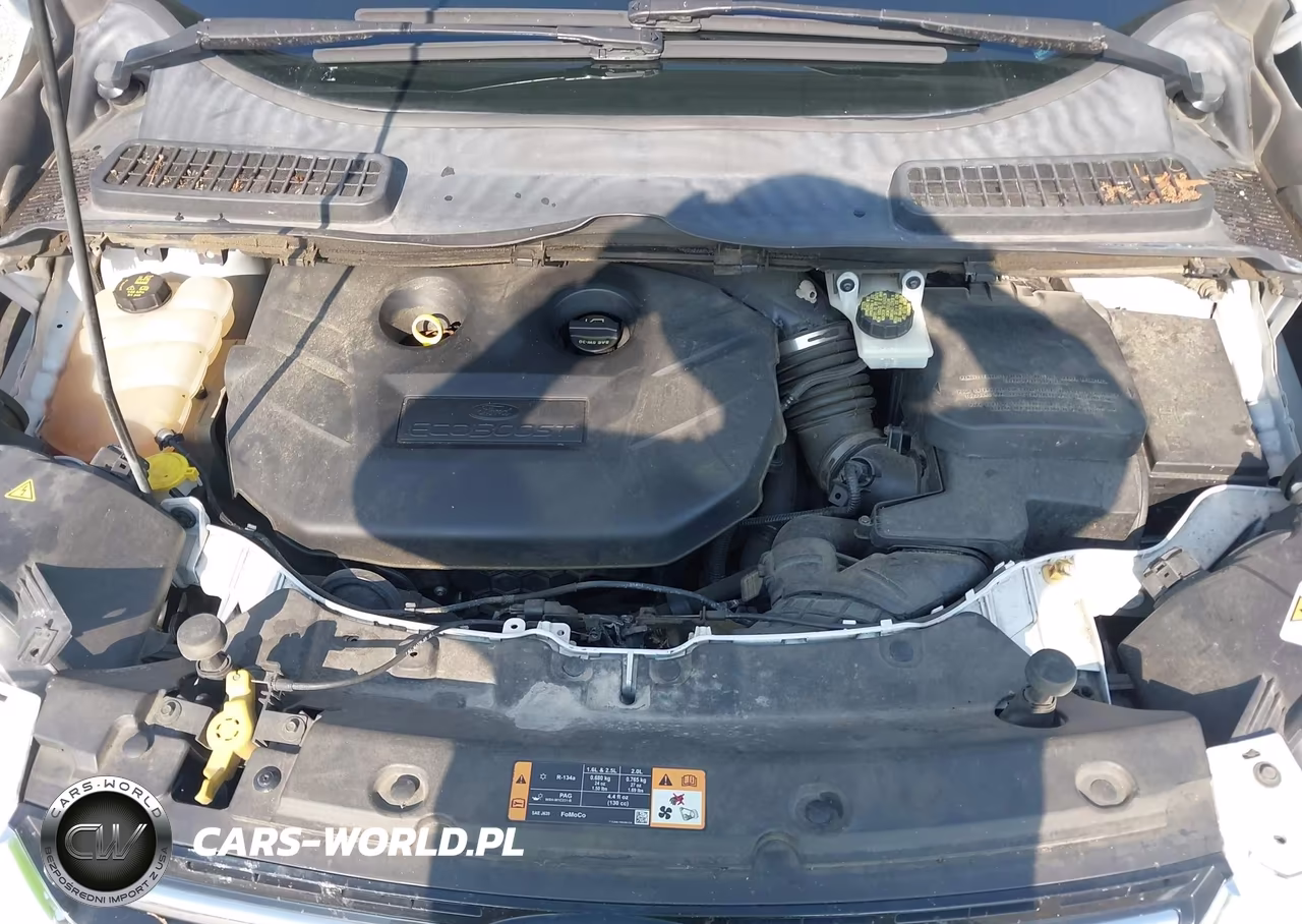 2014 Ford Escape Titanium VIN:1FMCU0J99EUC81385 - 10
