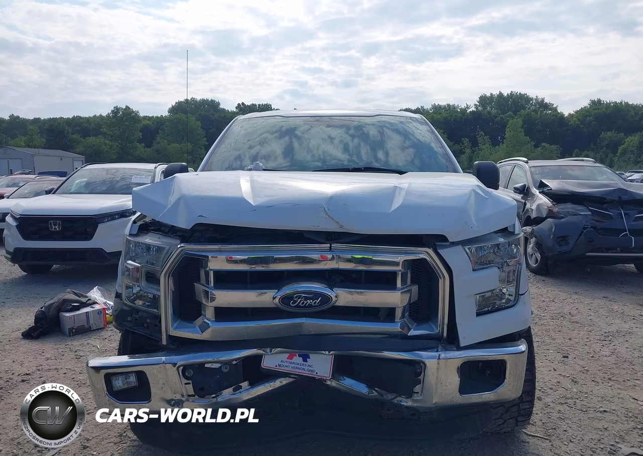 2016 Ford F-150 Xlt VIN:1FTEW1E84GKF57968 - 13