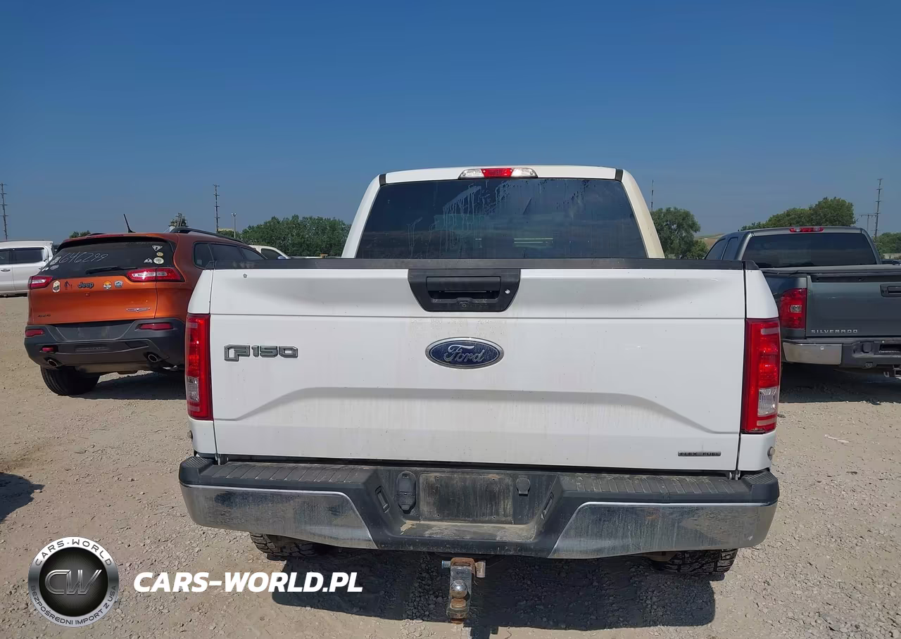 2016 Ford F-150 Xlt VIN:1FTEW1E84GKF57968 - 17
