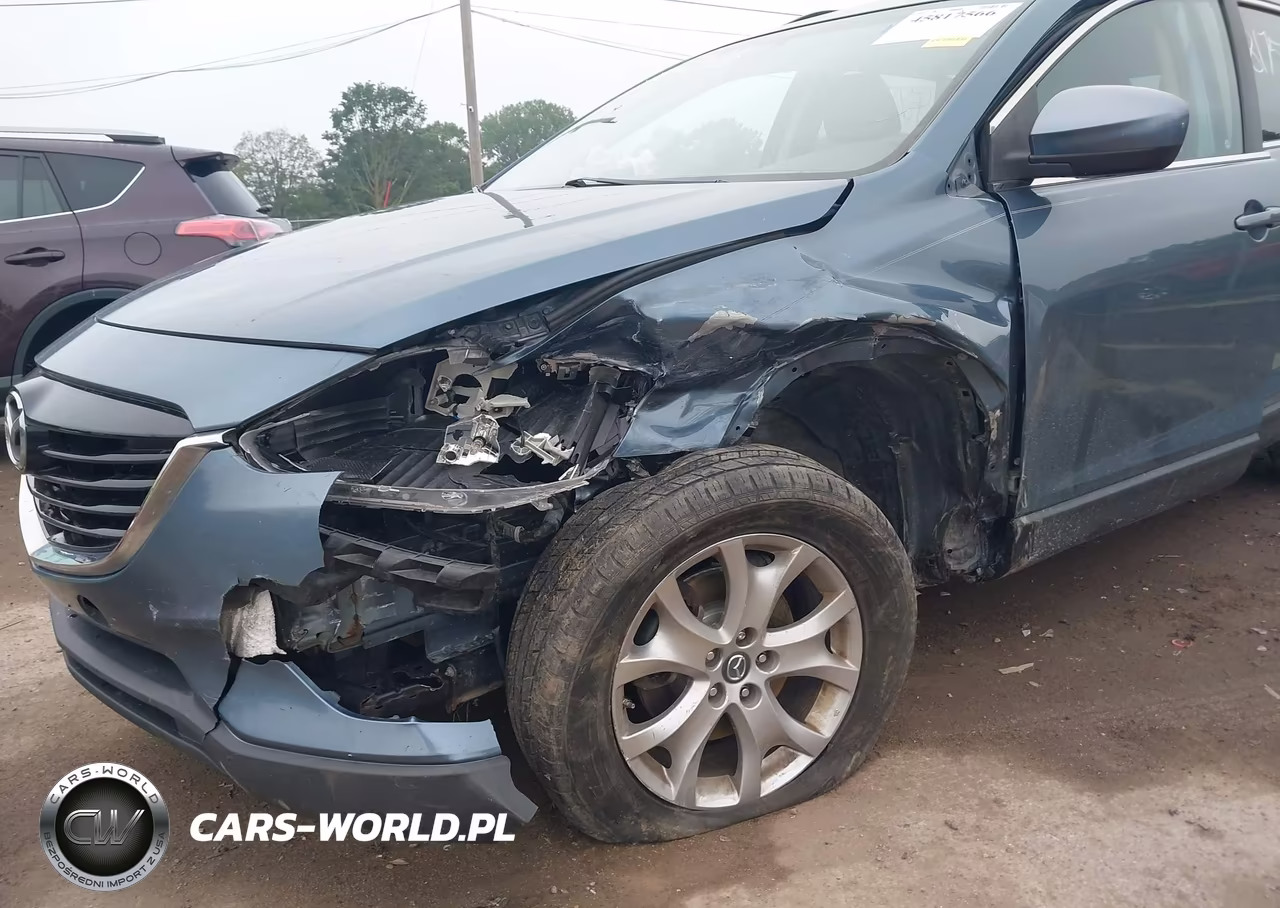 2015 Mazda Cx-9 Touring VIN:JM3TB3CA5F0452765 - 6