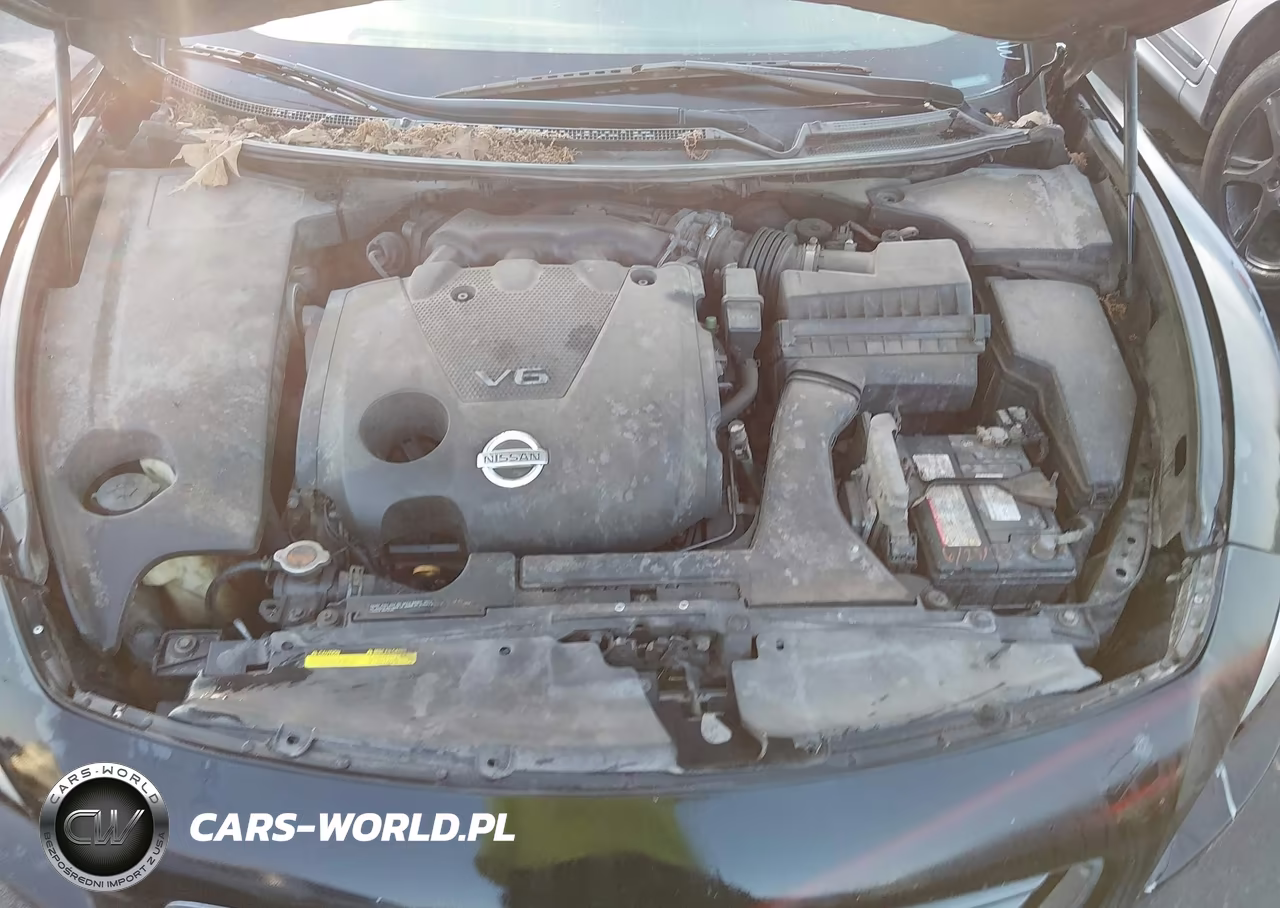 2014 Nissan Maxima 3.5 Sv VIN:1N4AA5AP3EC443135 - 10