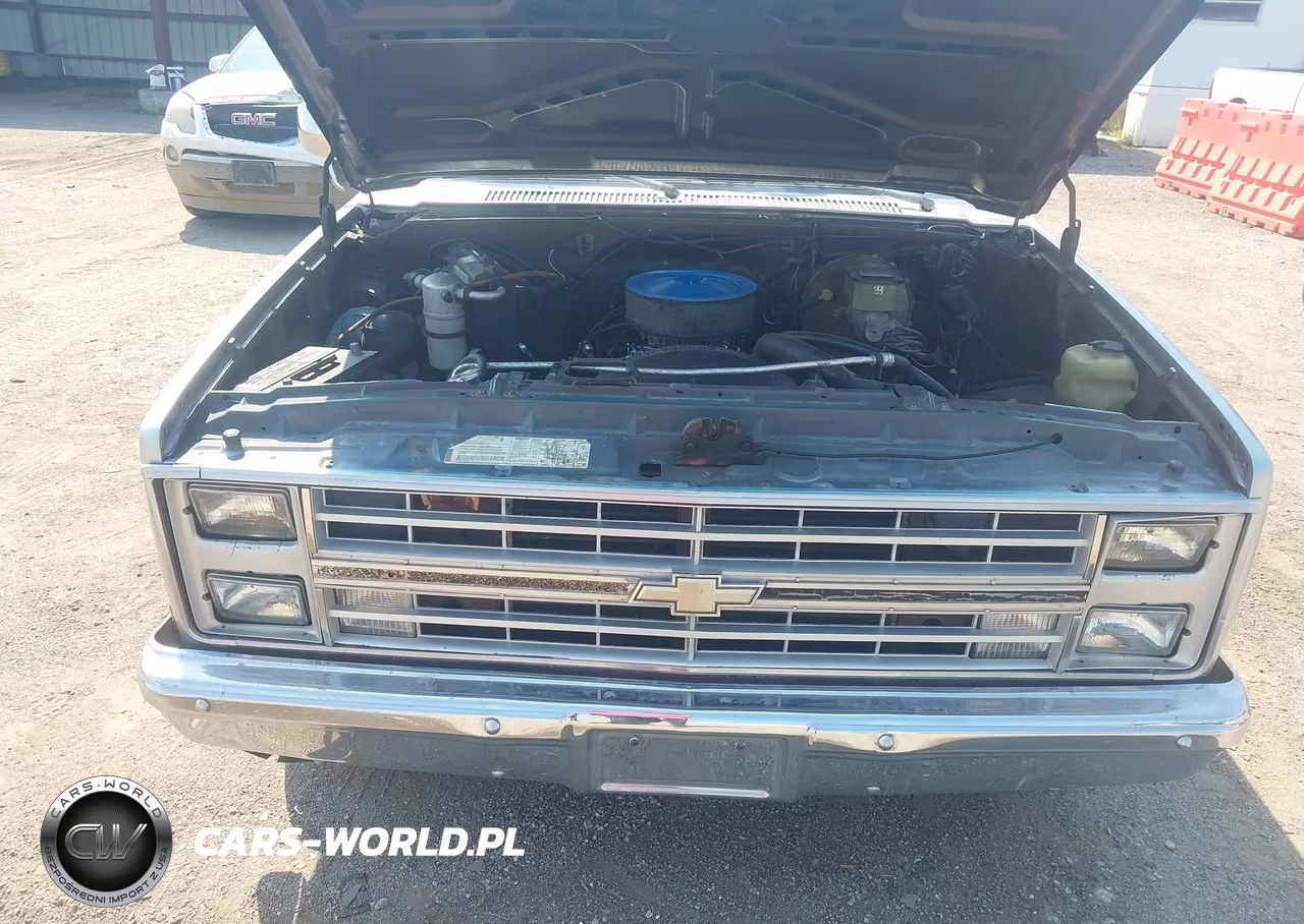 1983 Chevrolet C10 VIN:1GCDC14H4DJ142205 - 10