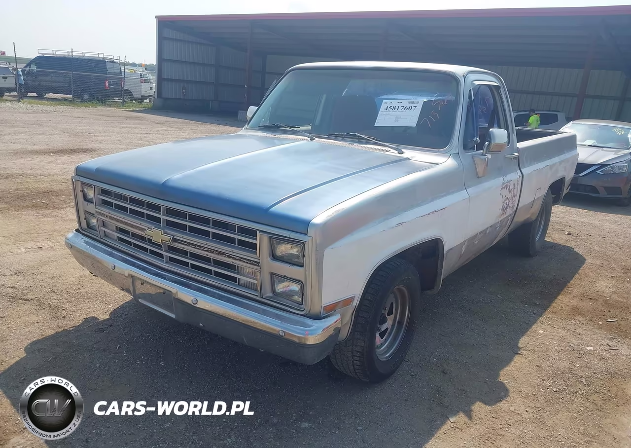 1983 Chevrolet C10 VIN:1GCDC14H4DJ142205 - 11