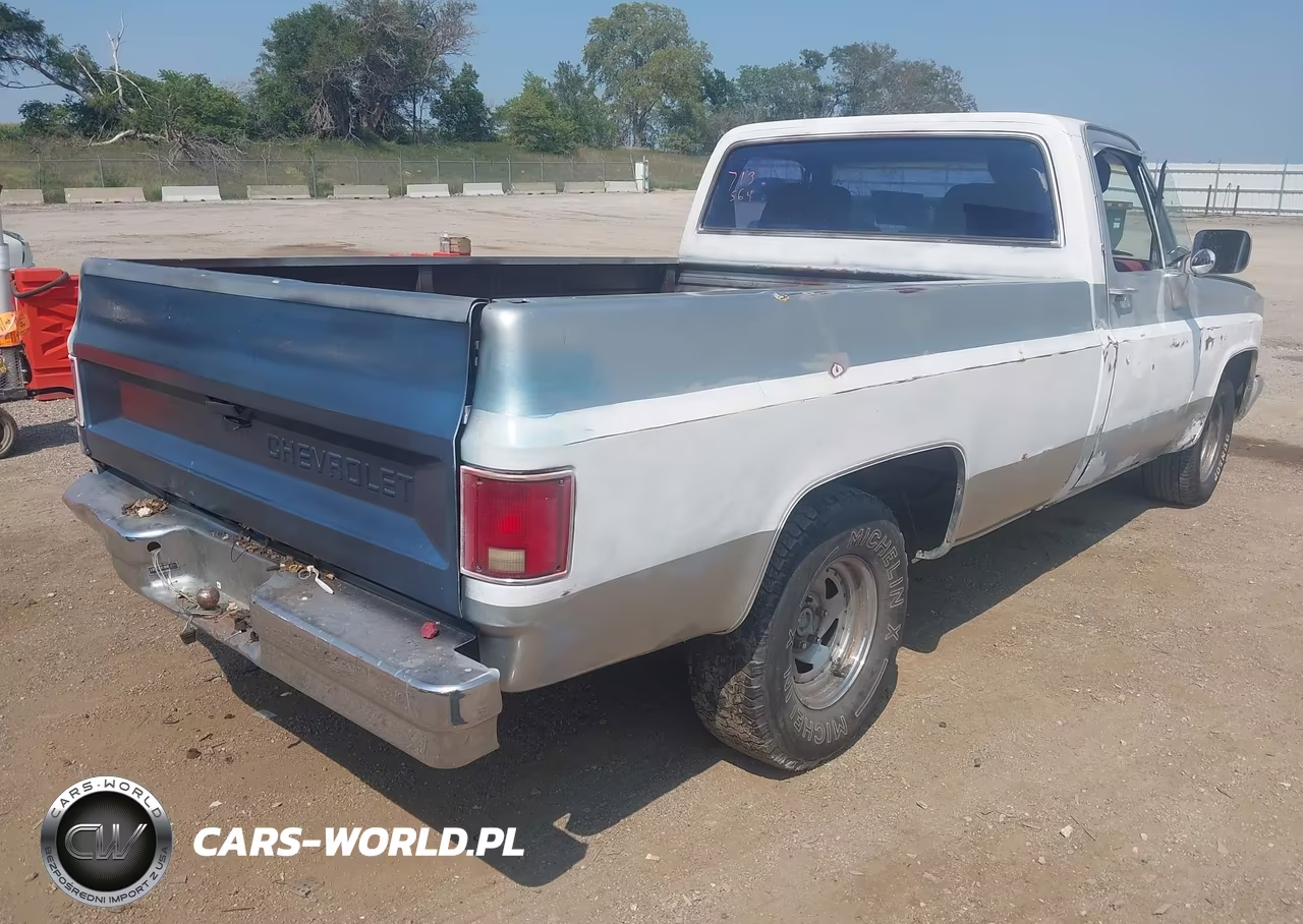 1983 Chevrolet C10 VIN:1GCDC14H4DJ142205 - 4
