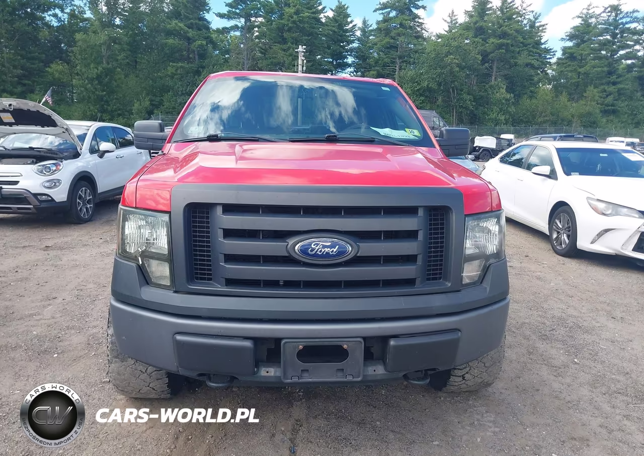 2010 Ford F-150 Stx-Xl-Xlt VIN:1FTEX1E86AKE47461 - 12