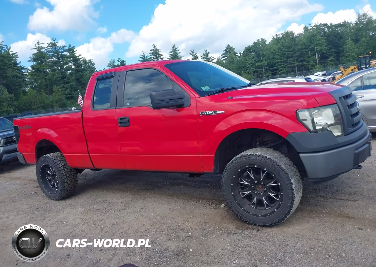 2010 Ford F-150 Stx-Xl-Xlt VIN:1FTEX1E86AKE47461 - 13