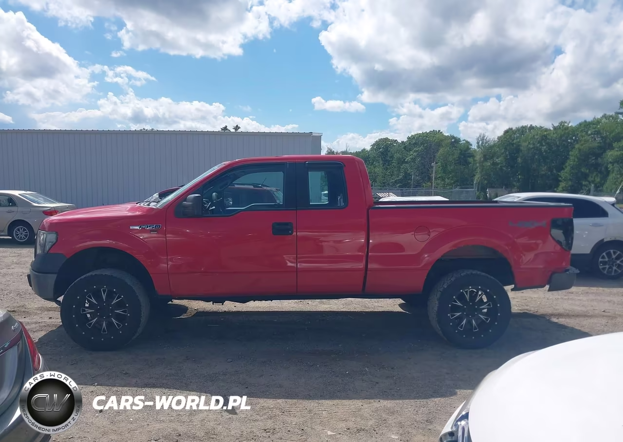 2010 Ford F-150 Stx-Xl-Xlt VIN:1FTEX1E86AKE47461 - 14