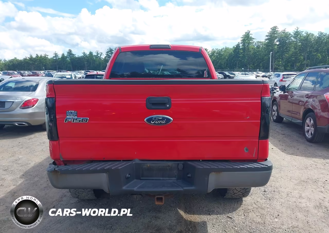 2010 Ford F-150 Stx-Xl-Xlt VIN:1FTEX1E86AKE47461 - 16