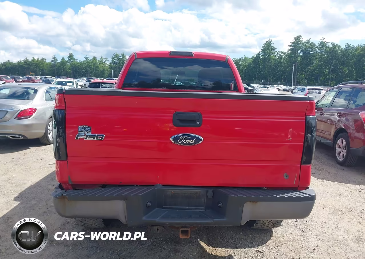 2010 Ford F-150 Stx-Xl-Xlt VIN:1FTEX1E86AKE47461 - 17
