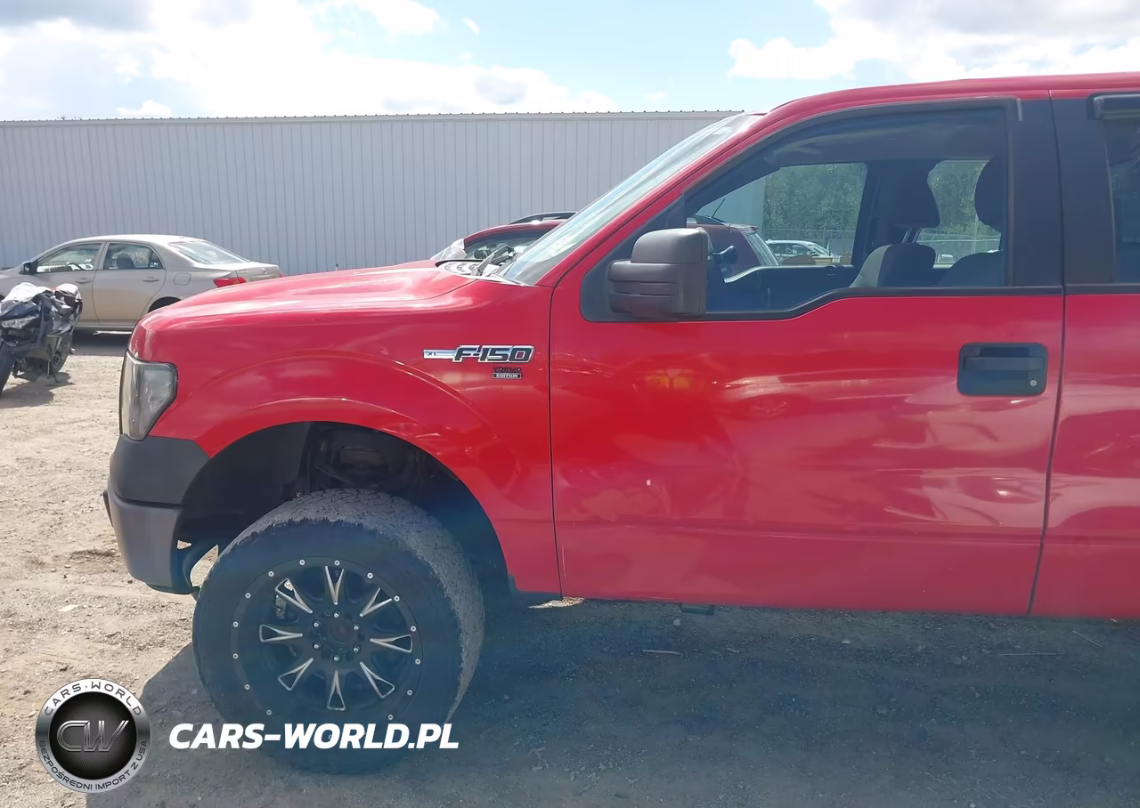 2010 Ford F-150 Stx-Xl-Xlt VIN:1FTEX1E86AKE47461 - 18