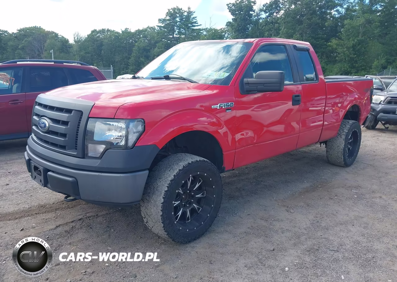 2010 Ford F-150 Stx-Xl-Xlt VIN:1FTEX1E86AKE47461 - 2