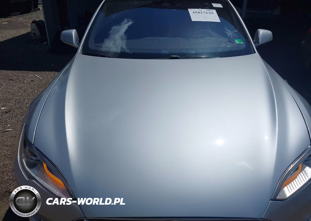 2016 Tesla Model S 60D-70D-75D-85D-90D VIN:5YJSA1E20GF131723 - 10