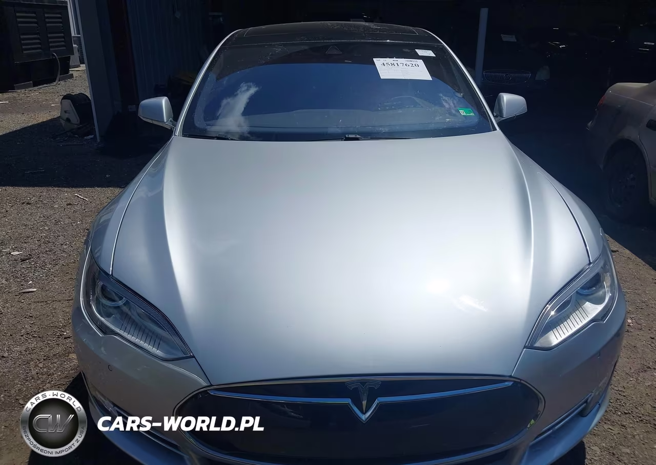 2016 Tesla Model S 60D-70D-75D-85D-90D VIN:5YJSA1E20GF131723 - 6