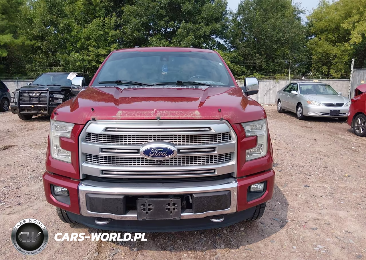 2016 Ford F-150 Platinum VIN:1FTEW1EF9GFD21677 - 12
