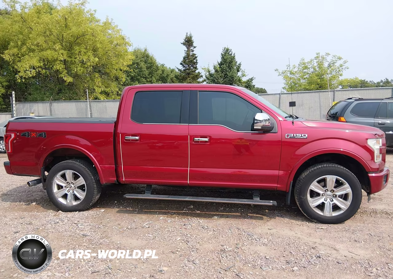 2016 Ford F-150 Platinum VIN:1FTEW1EF9GFD21677 - 13