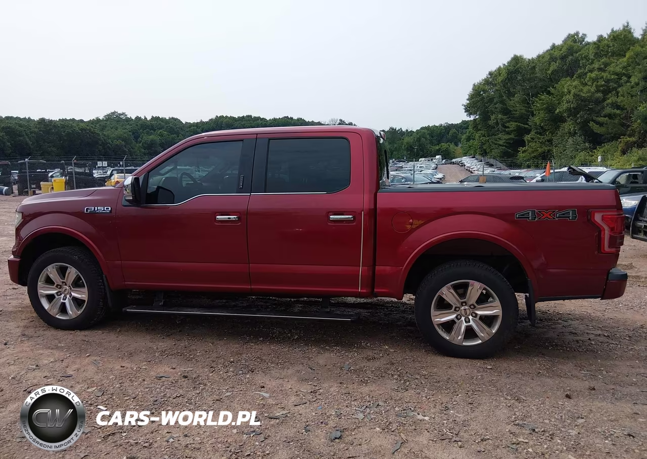 2016 Ford F-150 Platinum VIN:1FTEW1EF9GFD21677 - 14