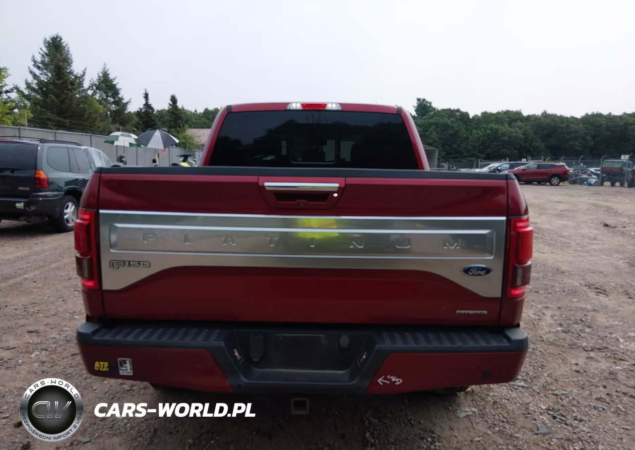 2016 Ford F-150 Platinum VIN:1FTEW1EF9GFD21677 - 16