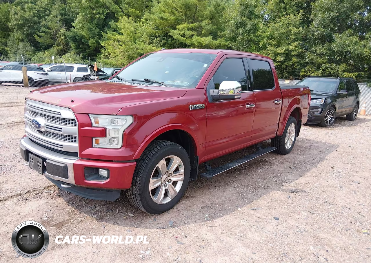 2016 Ford F-150 Platinum VIN:1FTEW1EF9GFD21677 - 2