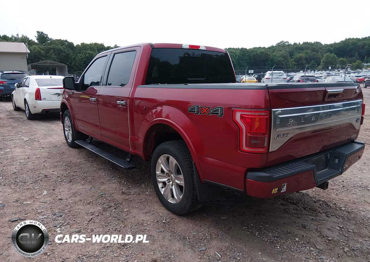 2016 Ford F-150 Platinum VIN:1FTEW1EF9GFD21677 - 3
