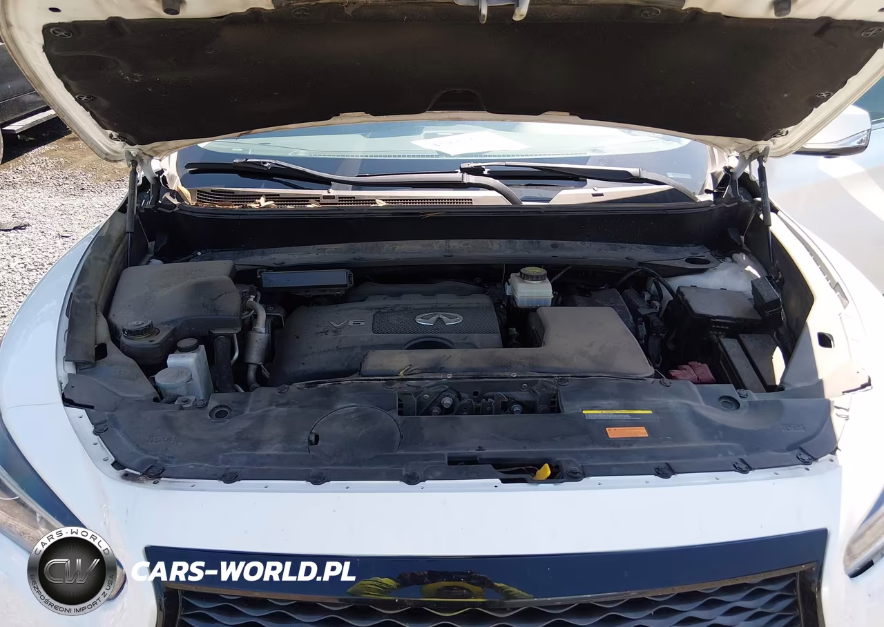 2019 Infiniti Qx60 Luxe-Pure VIN:5N1DL0MN9KC508821 - 10
