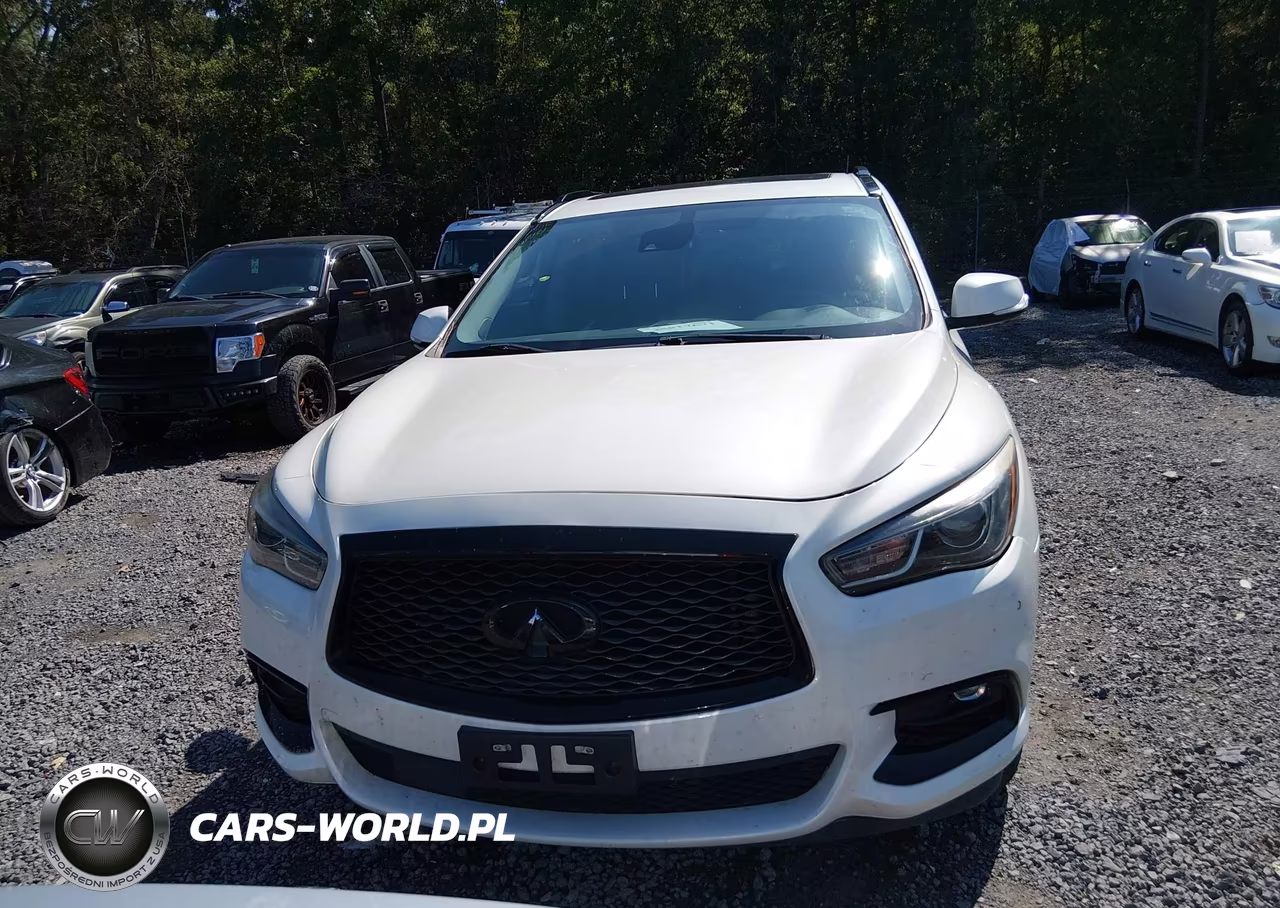 2019 Infiniti Qx60 Luxe-Pure VIN:5N1DL0MN9KC508821 - 13