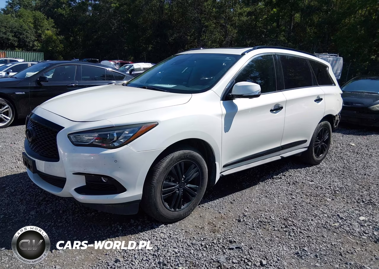 2019 Infiniti Qx60 Luxe-Pure VIN:5N1DL0MN9KC508821 - 2