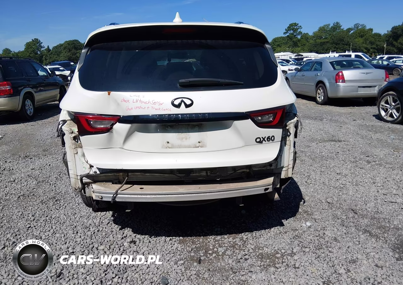 2019 Infiniti Qx60 Luxe-Pure VIN:5N1DL0MN9KC508821 - 6