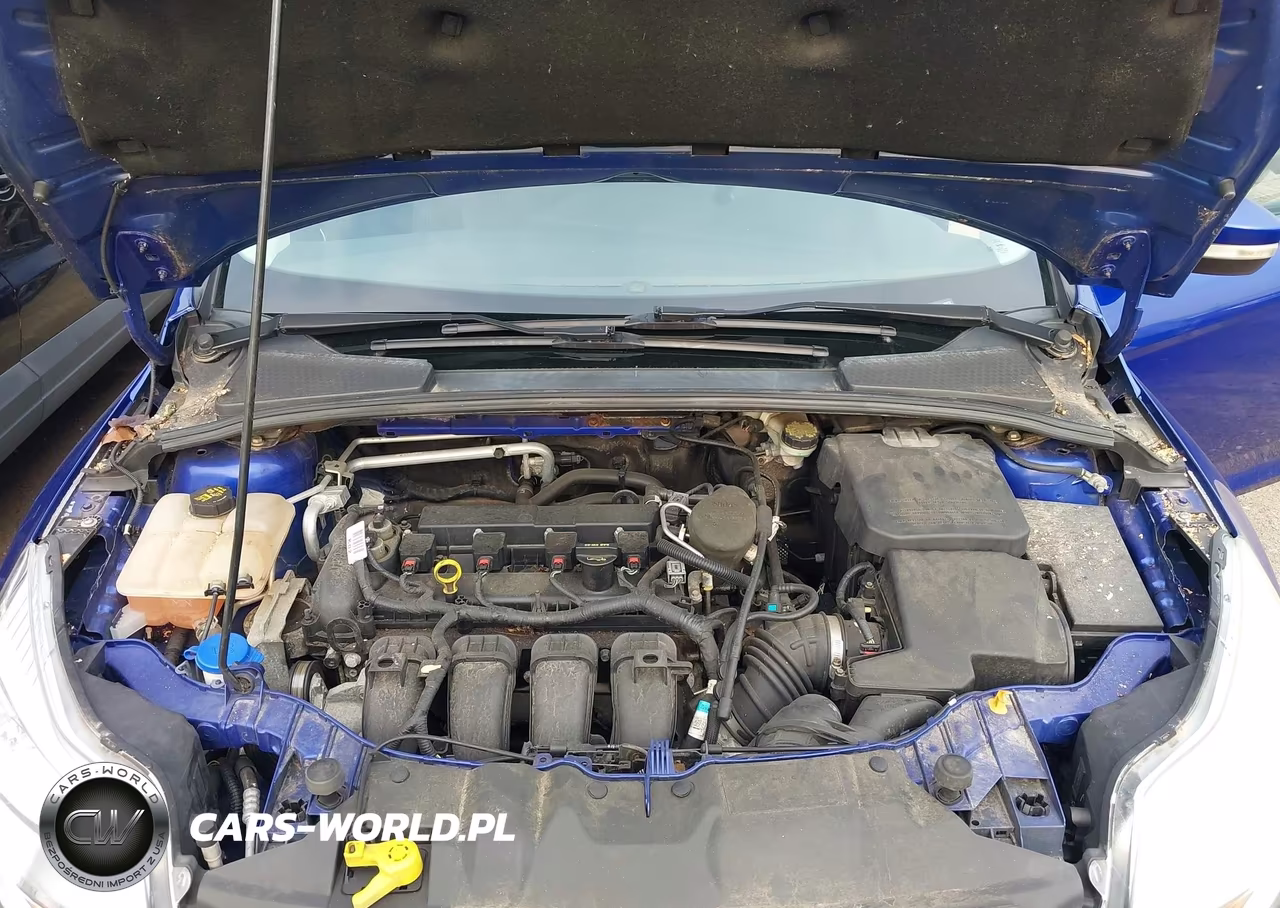 2013 Ford Focus Se VIN:1FADP3F24DL380641 - 10