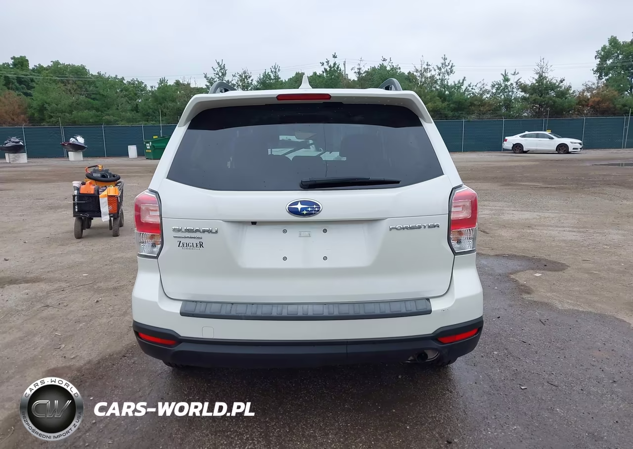 2018 Subaru Forester 2.5I Premium VIN:JF2SJAGC1JH413531 - 16